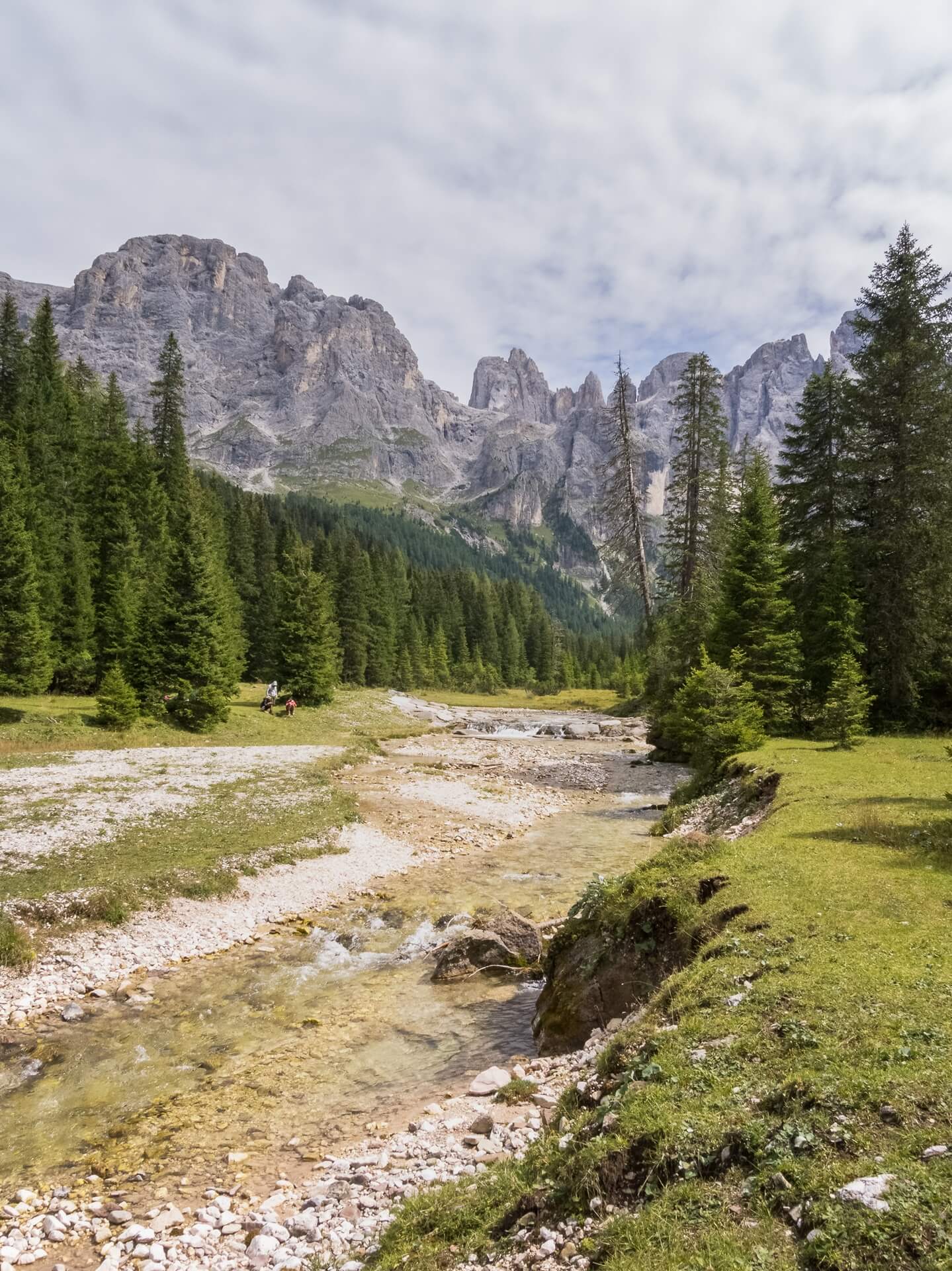 Paesaggio montano con torrente e alberi ai piedi di imponenti montagne rocciose.